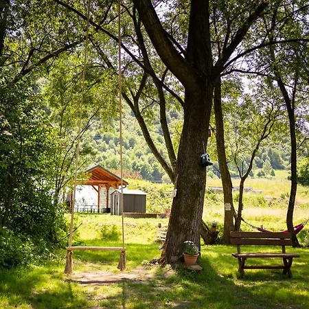 Tu I Teraz Шавница